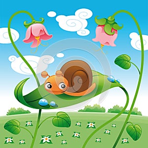 Snail on the leaf