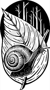 Snail on Leaf Woodcut Illustration