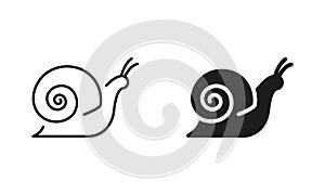 Snail Line and Silhouette Icon Set. Slug in Shell Crawl Pictogram. Helix Slow, Cute Escargot Moving. Slimy Eatable
