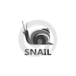 Snail logo vector template icon design