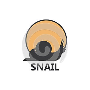 Snail logo vector template icon design