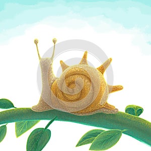 Snail that love sunshine very much