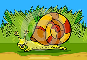 Snail mollusk cartoon illustration photo