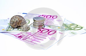 Snail on moneys