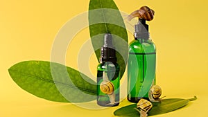 Snail mucin.Cosmetic serum with snail extract in a glass bottle with green leaves and snail group on a yellow background