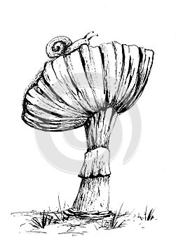 Snail and mushroom in the forest