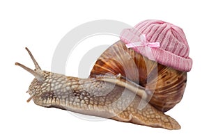 Snail with Newborn baby knit wool hat
