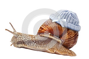 Snail with Newborn baby knit wool hat
