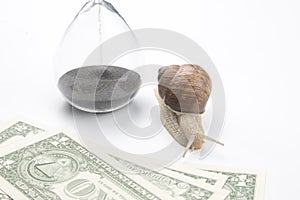Snail next to the hourglass and dollars on a white background. speed and stability in increasing income. time for work and rest.