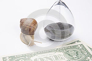 Snail next to the hourglass and dollars on a white background. speed and stability in increasing income. time for work and rest.