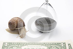 Snail next to the hourglass and dollars on a white background. speed and stability in increasing income. time for work and rest.