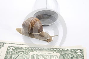 Snail next to the hourglass and dollars on a white background. speed and stability in increasing income. time for work and rest.