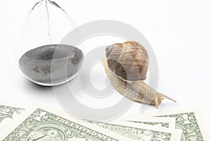 Snail next to the hourglass and dollars on a white background. speed and stability in increasing income. time for work and rest.