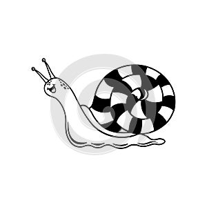 Snail outline illustration on white background. Slow pace concept