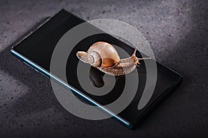 Snail on the phone on a dark background. Slow phone. Old smartphone