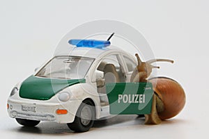 Snail and policecar photo