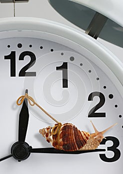 Snail pulling clock hand , slow time concept