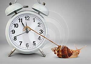 Snail pulling clock hand , time management concept