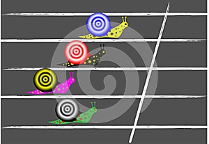 Snail race