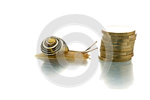 Snail reaching coin pile