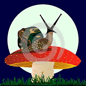 Snail resting on a Mushroom