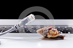 Snail with rj45 connector symbolic photo for slow internet