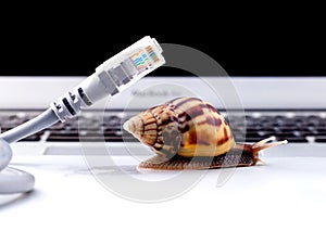 Snail with rj45 connector symbolic photo for slow internet