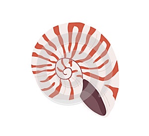 Snail seashell. Marine underwater swirled sea shell of round spiral shape. Undersea mollusc. Mollusk, shellfish. Under