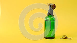 Snail serum glass bottle and snail group on a yellow background.Snail mucin.