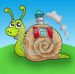 Snail with shell house on meadow