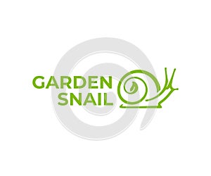 Snail in shell logo design. Garden snail with leaves vector design