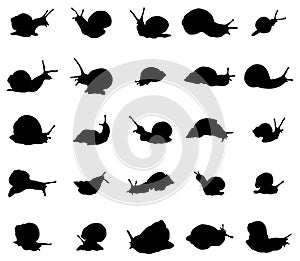 Snail silhouettes set