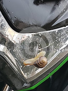 Snail sitting on beautiful green Kawasaki motorcycle