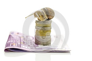 Snail sitting on top of stack of euro coins