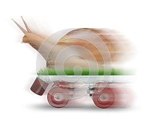 Snail skating motion blur on white background