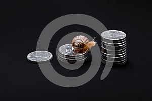 Snail on stack of coins on black background. Slow economic growth, business concept. Purposefulness, movement towards