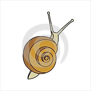 Snail, Top view. Symbol of Slowness. Modern flat Vector illustration