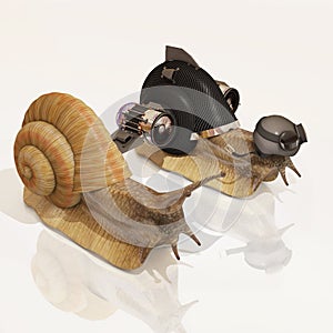 Snail and upgraded snail