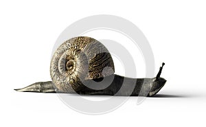 The Snail is very slowly. 3D Illustration