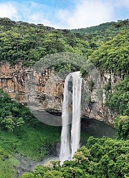 snail waterfall waterfall