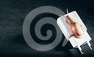 Snail on a white power adapter. Slow phone charging. Old power supply. A place under the inscription. Black background