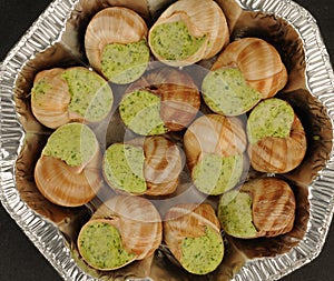 Snails