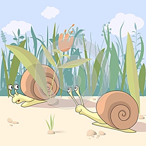 Snails