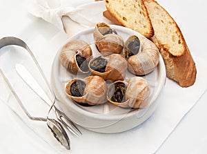 Snails as french gourmet food