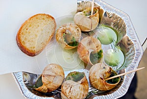 Snails as gourmet food with bread