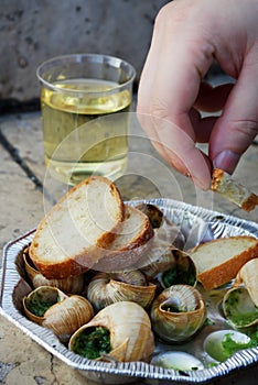 Snails as gourmet food with bread