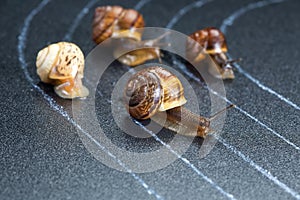 Snails on the athletic track