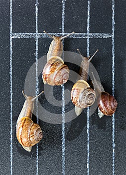 Snails on the athletic track