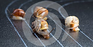 Snails on the athletic track photo