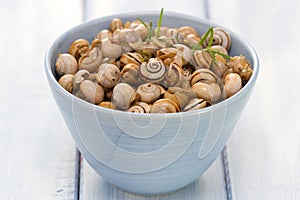 Snails in blue bowl